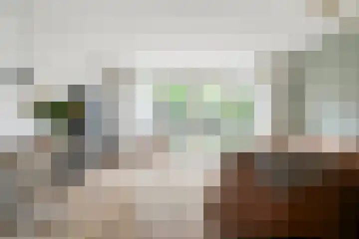 Gelderse Roos 8 Scherpenzeel foto 2