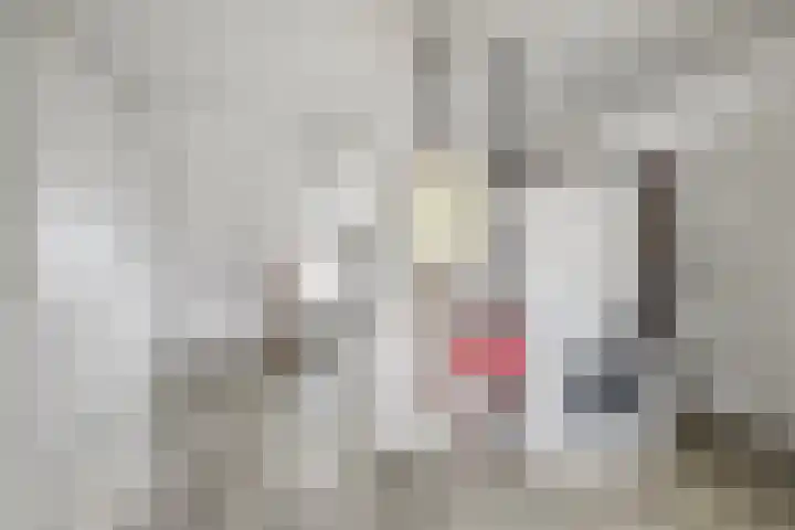Gelderse Roos 8 Scherpenzeel thumbnail 21