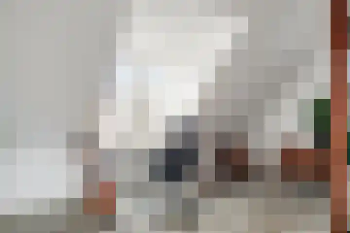 Gelderse Roos 8 Scherpenzeel thumbnail 22