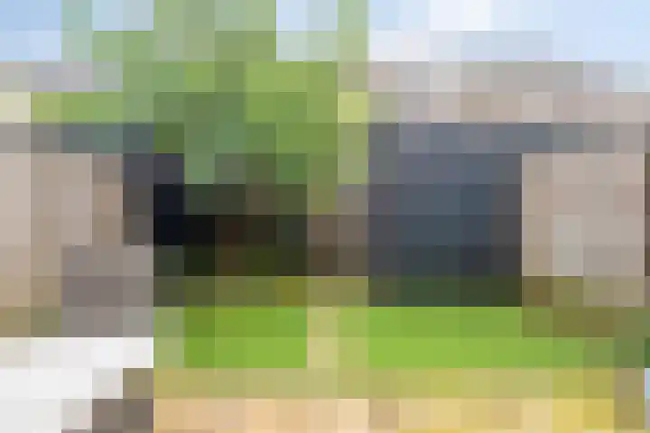 Gelderse Roos 8 Scherpenzeel thumbnail 26