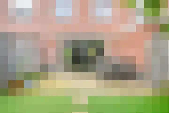 Gelderse Roos 8 Scherpenzeel thumbnail 27