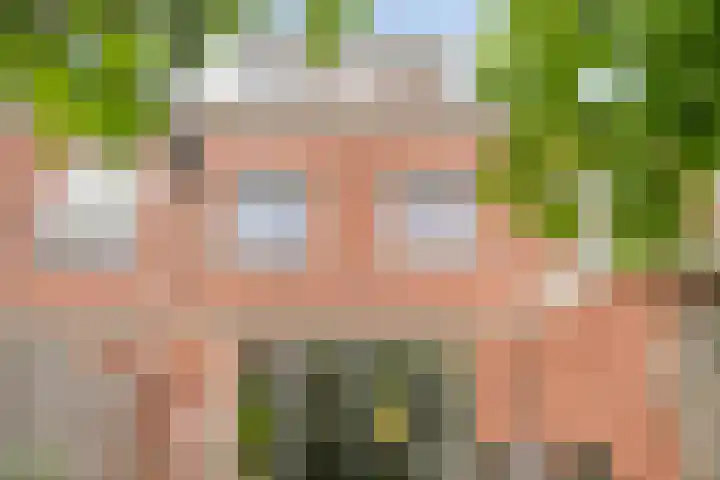 Gelderse Roos 8 Scherpenzeel thumbnail 28
