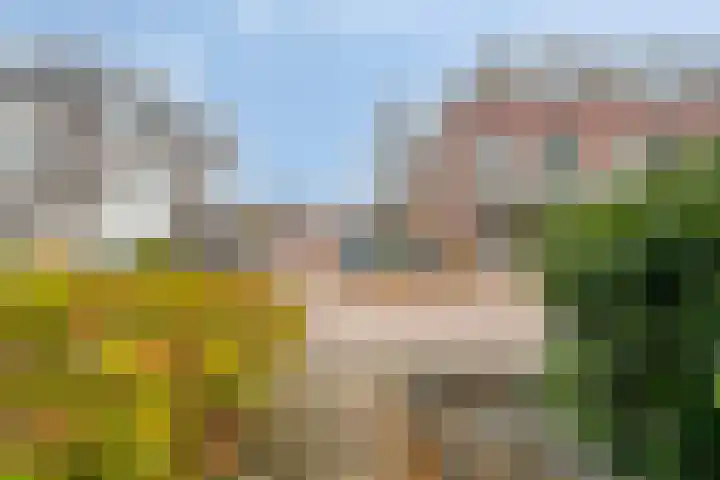 Gelderse Roos 8 Scherpenzeel thumbnail 29