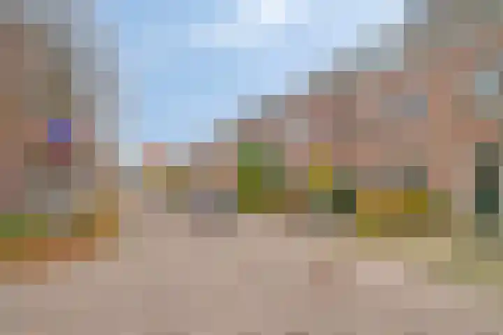 Gelderse Roos 8 Scherpenzeel thumbnail 30