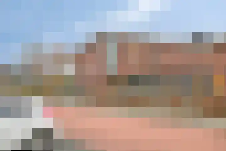 Gelderse Roos 8 Scherpenzeel thumbnail 32
