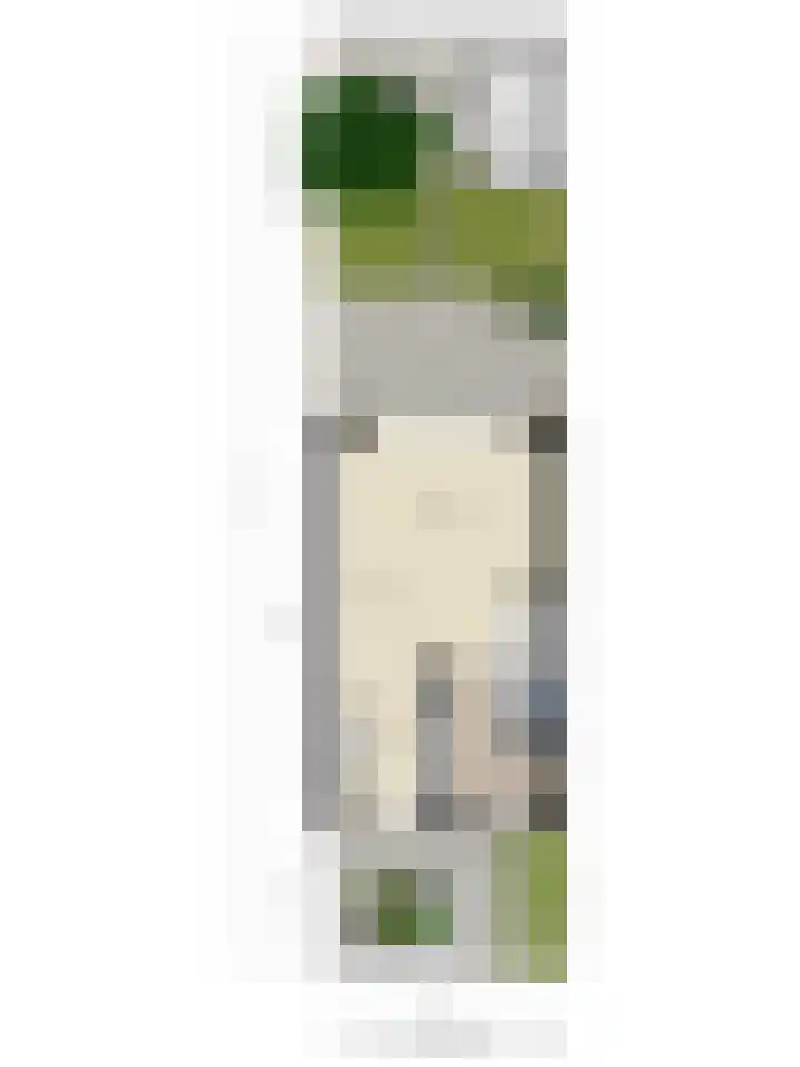 Gelderse Roos 8 Scherpenzeel thumbnail 33