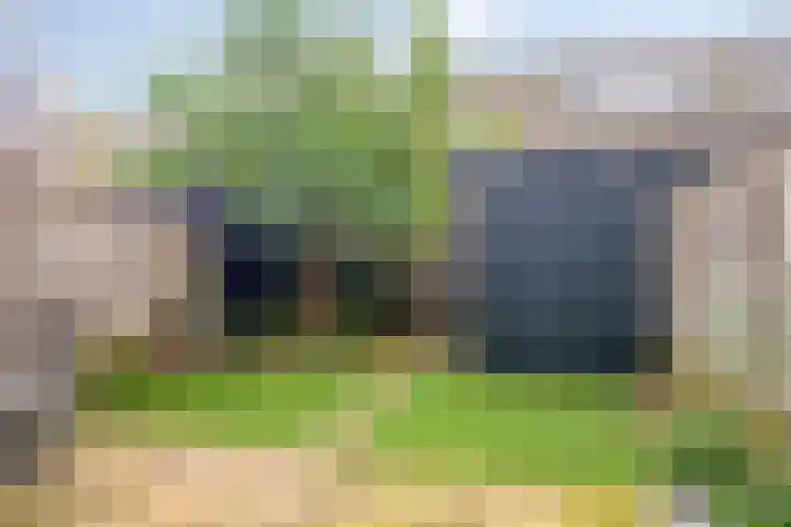 Gelderse Roos 8 Scherpenzeel thumbnail 4