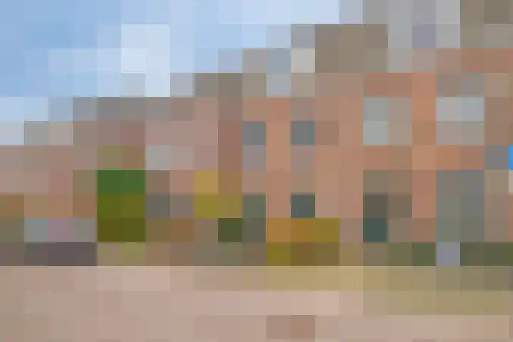 Gelderse Roos 8 Scherpenzeel thumbnail 5