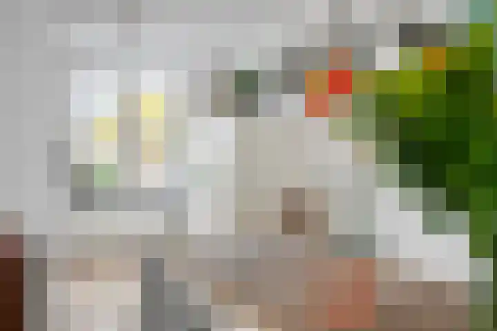Gelderse Roos 8 Scherpenzeel thumbnail 9