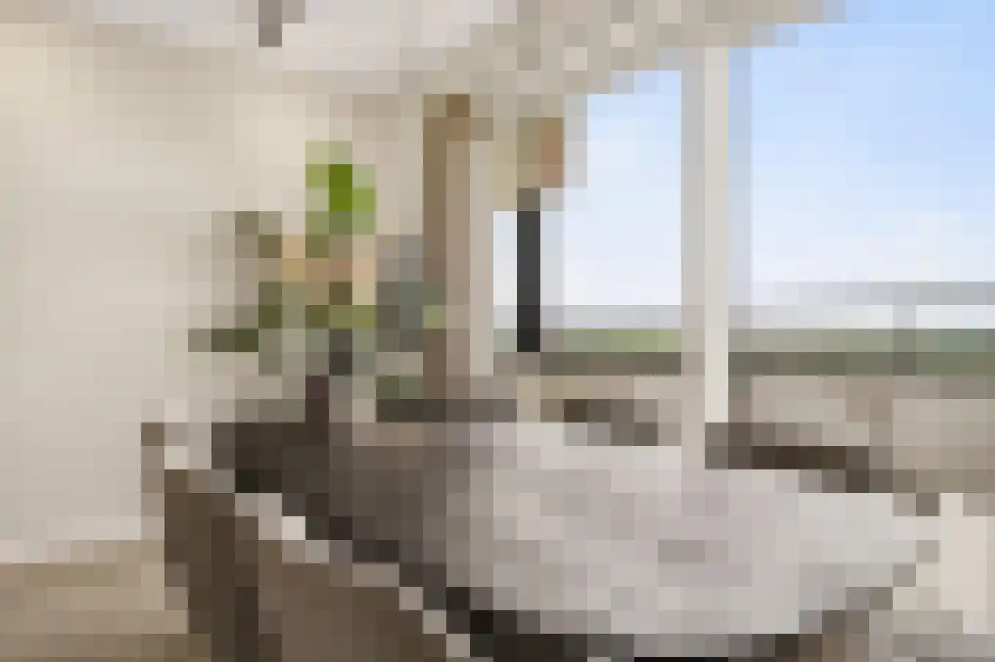 Gelderse Rooslaan 235 Arnhem thumbnail 11