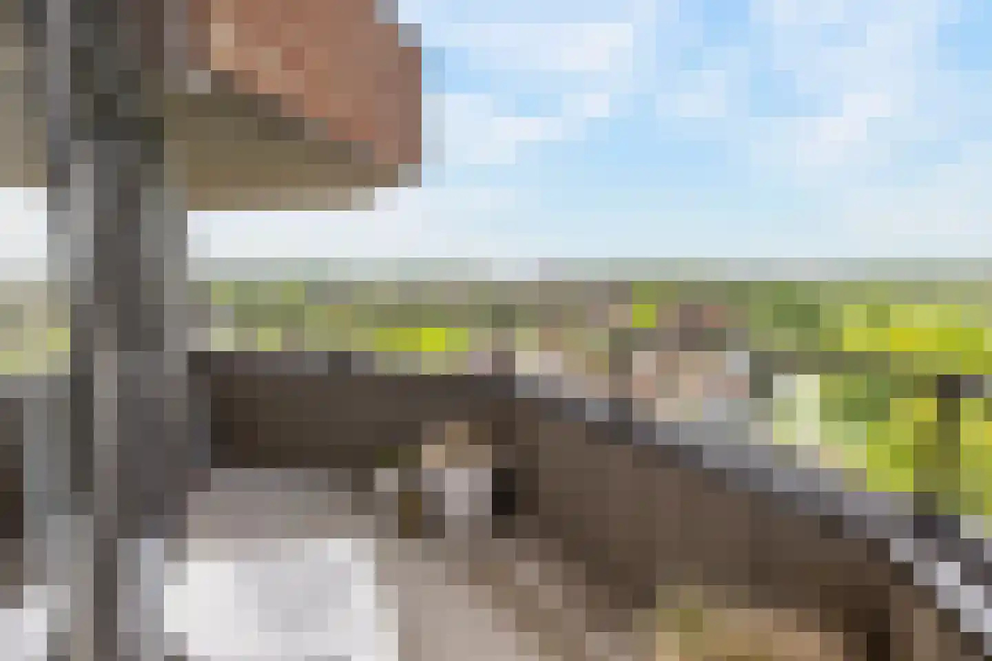 Gelderse Rooslaan 235 Arnhem thumbnail 12