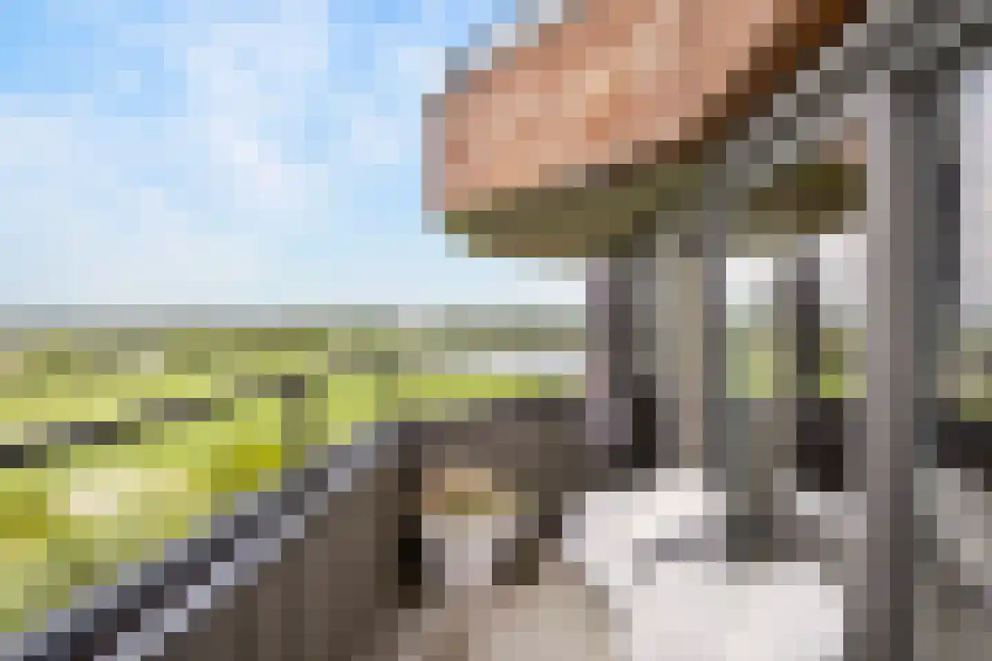 Gelderse Rooslaan 235 Arnhem thumbnail 4