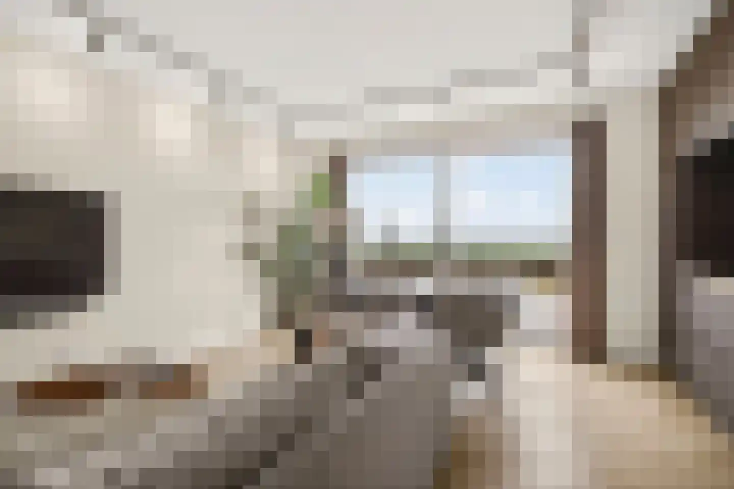 Gelderse Rooslaan 235 Arnhem thumbnail 7
