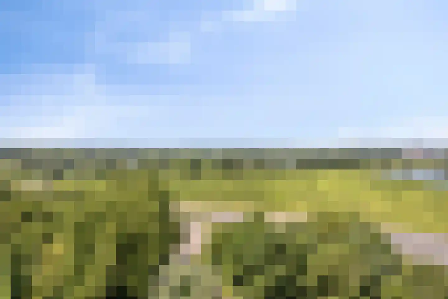 Gelderse Rooslaan 247 Arnhem thumbnail 38