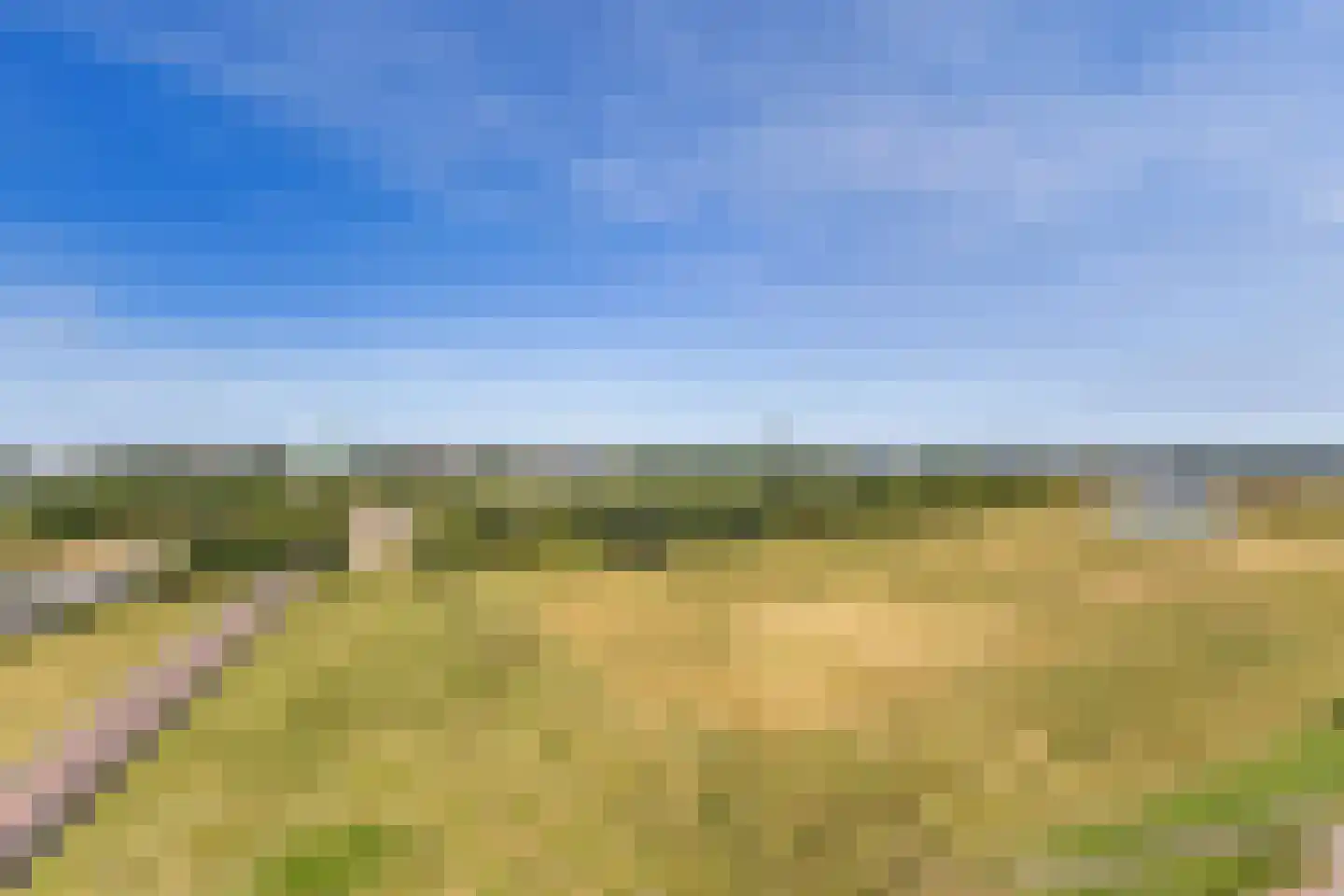 Gelderse Rooslaan 255 Arnhem thumbnail 36