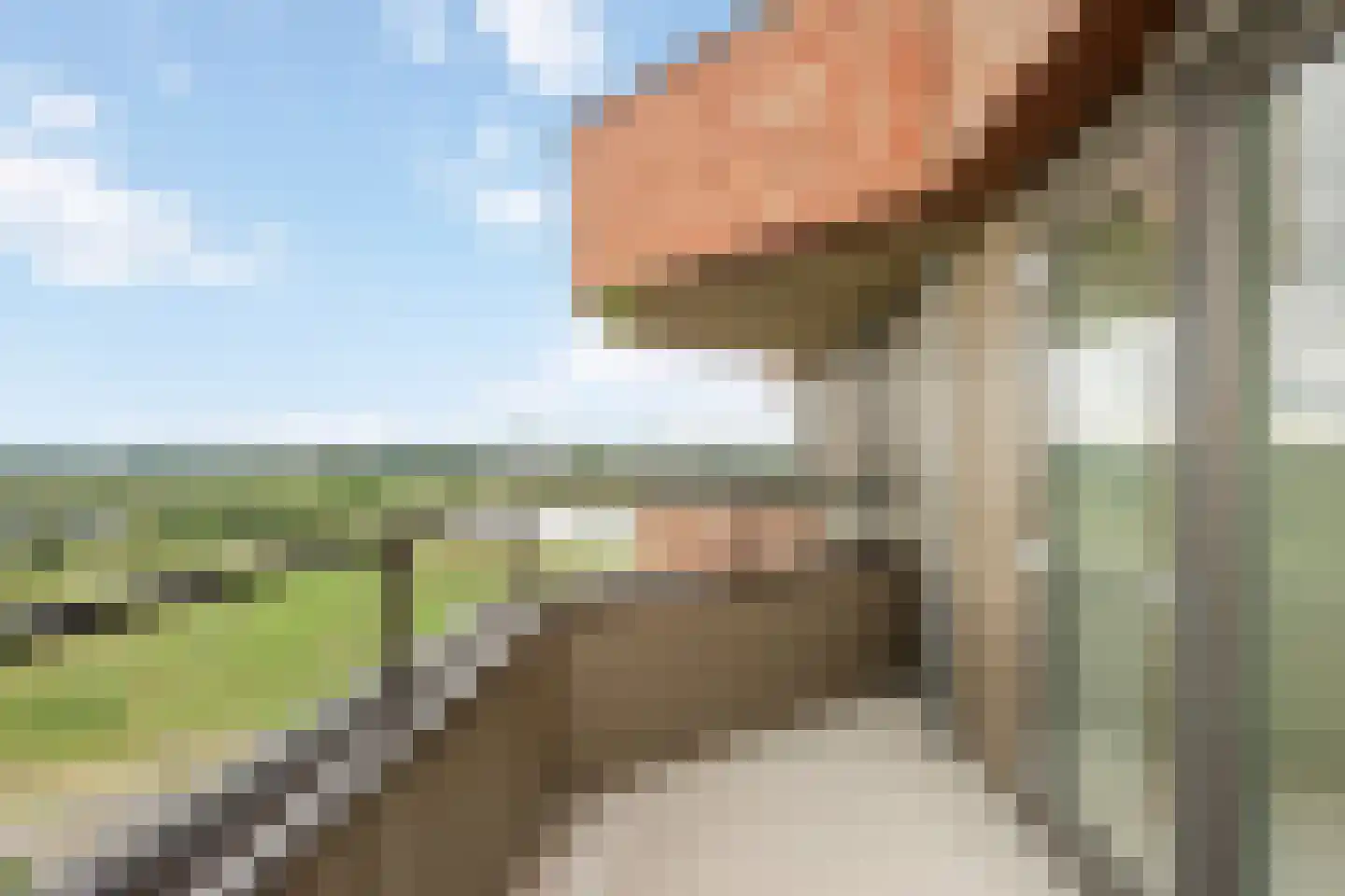 Gelderse Rooslaan 271 Arnhem thumbnail 22