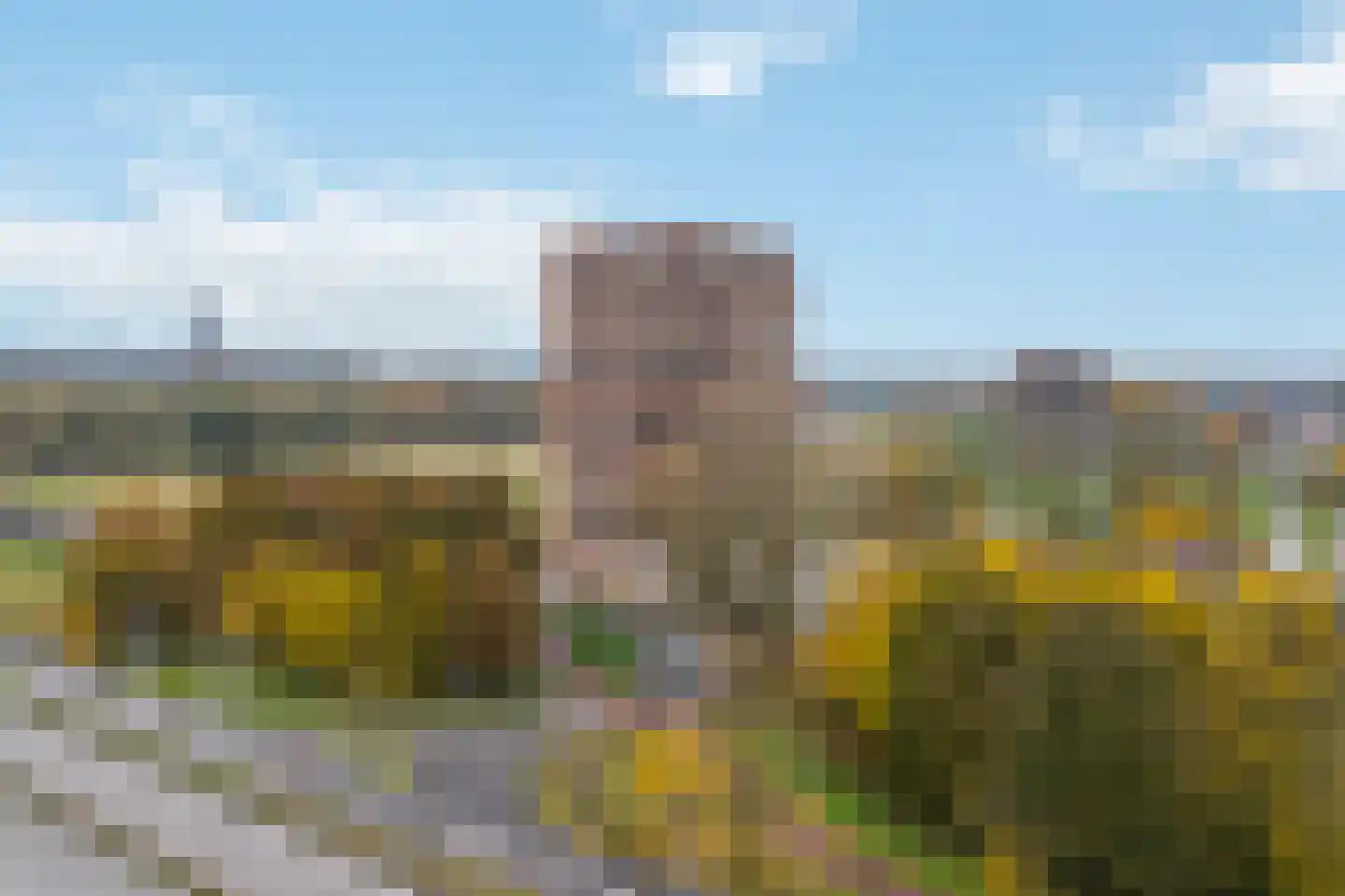 Gelderse Rooslaan 273 Arnhem thumbnail 33