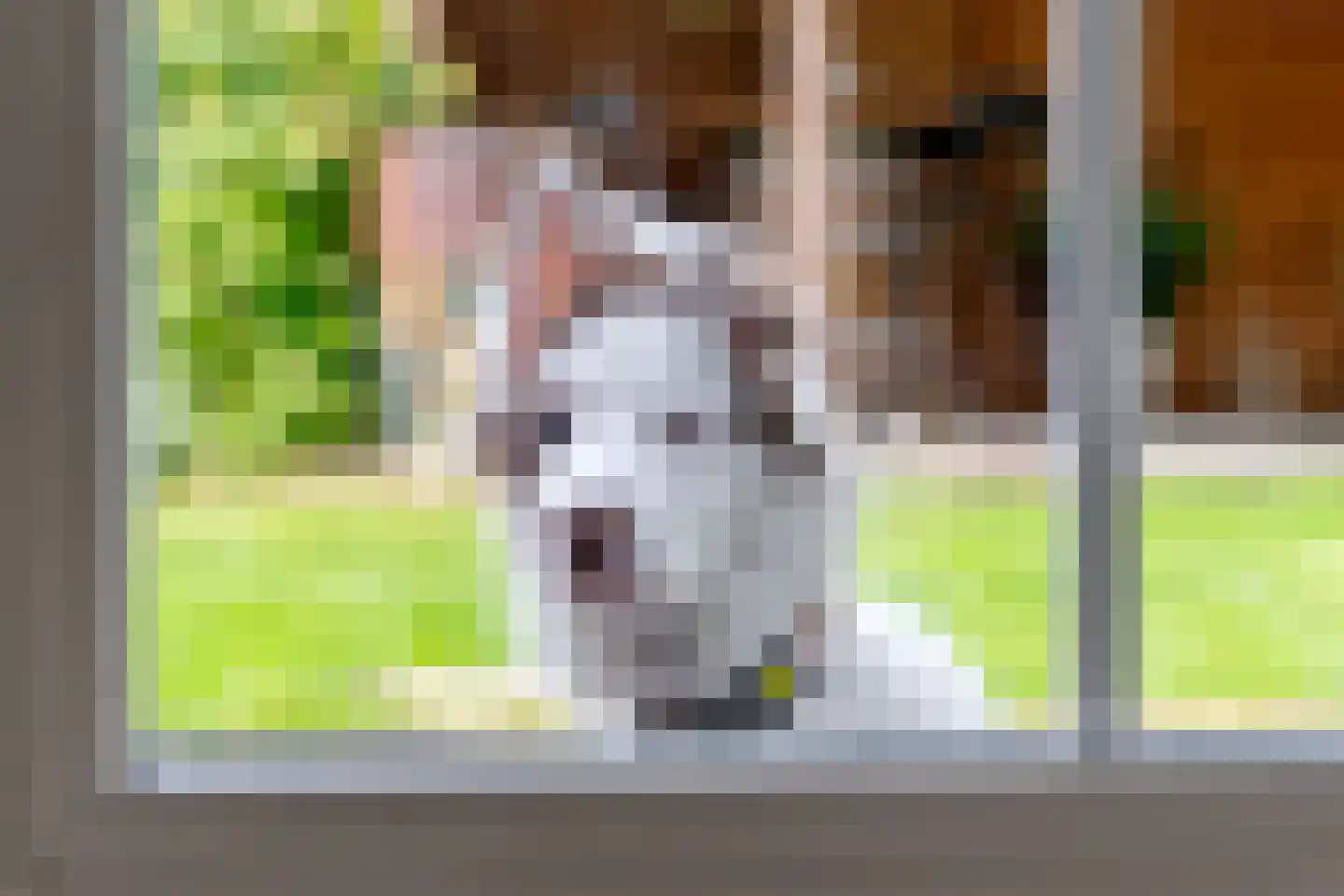 Gelderse Singel 52 Lienden thumbnail 16
