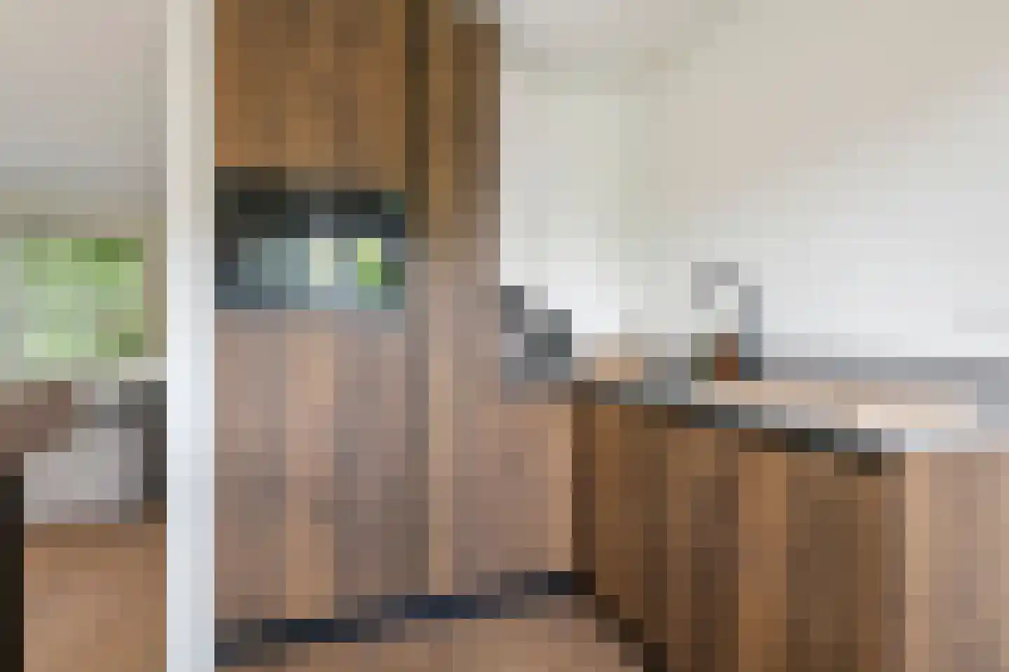 Gelderse Singel 52 Lienden thumbnail 18