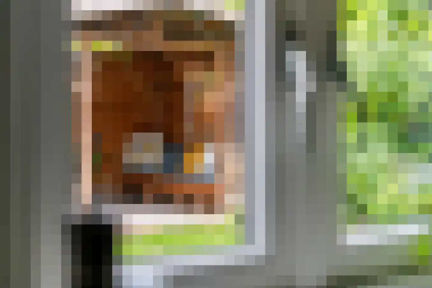 Gelderse Singel 52 Lienden thumbnail 21