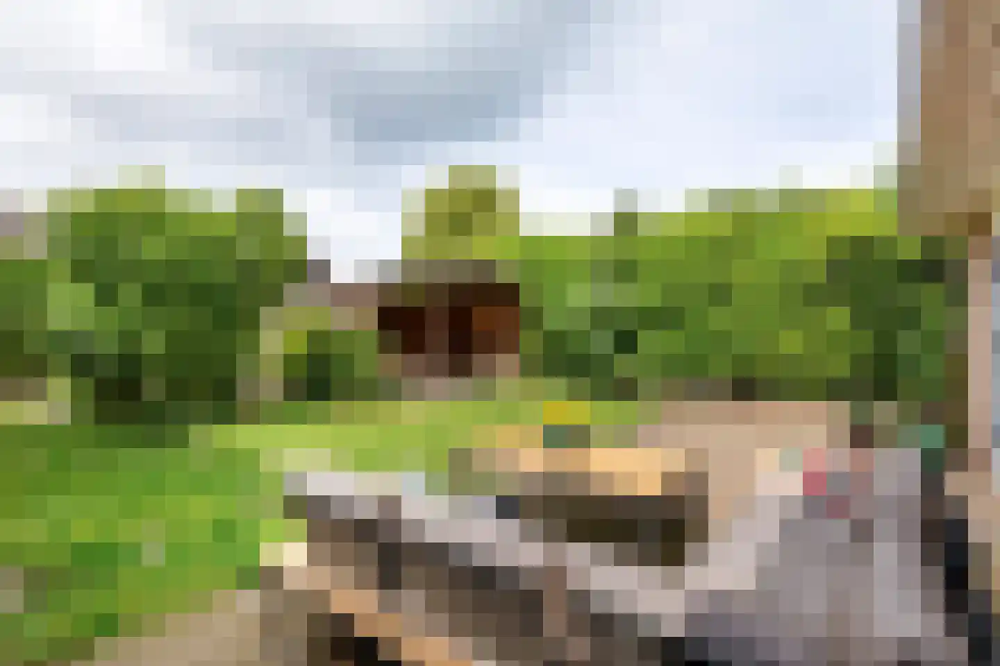 Gelderse Singel 52 Lienden thumbnail 22