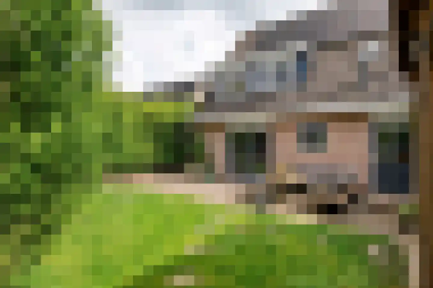 Gelderse Singel 52 Lienden thumbnail 23