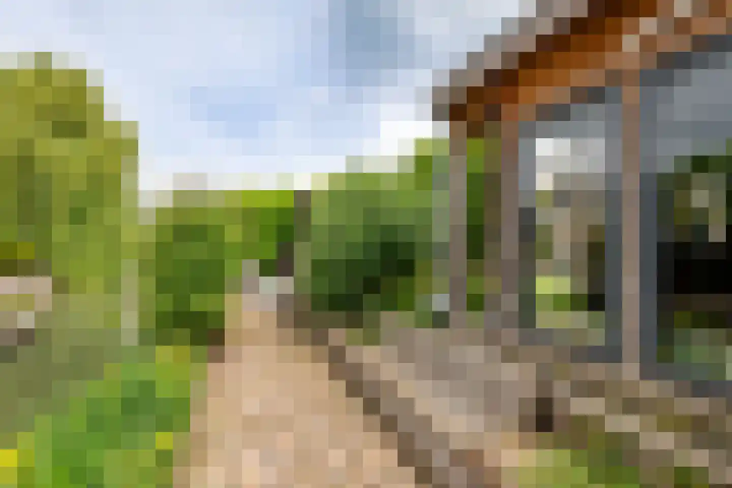 Gelderse Singel 52 Lienden thumbnail 24