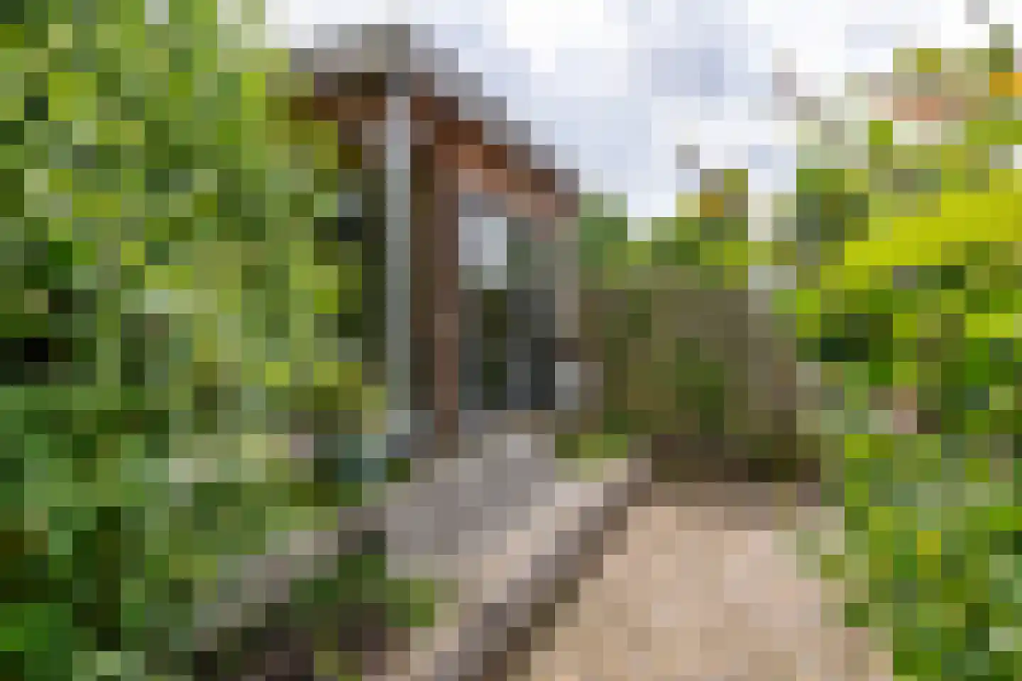 Gelderse Singel 52 Lienden thumbnail 25