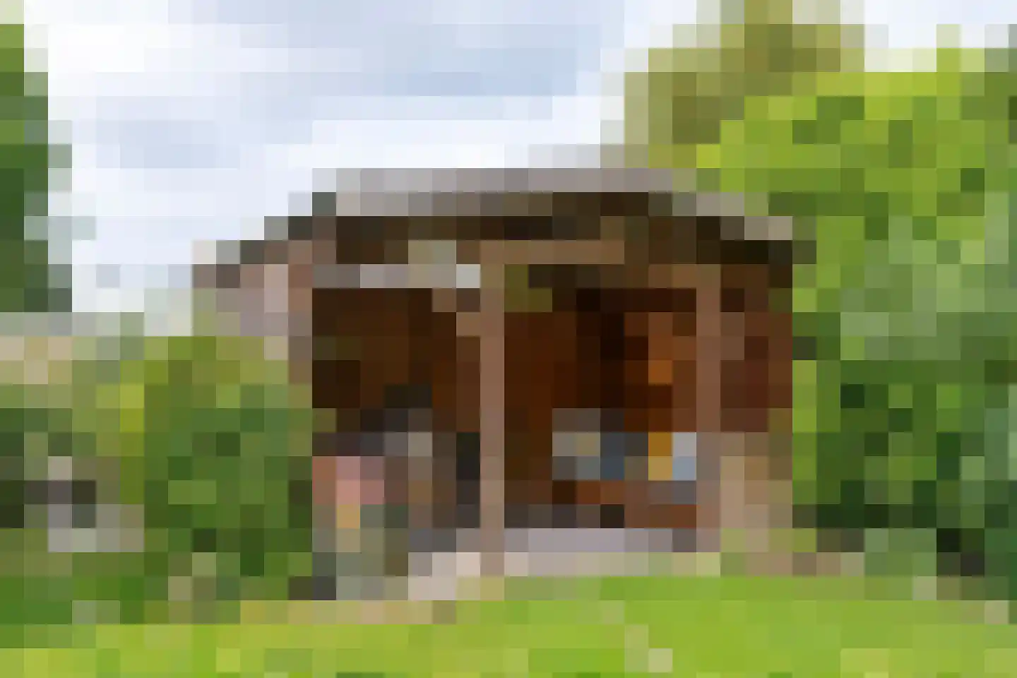 Gelderse Singel 52 Lienden thumbnail 28
