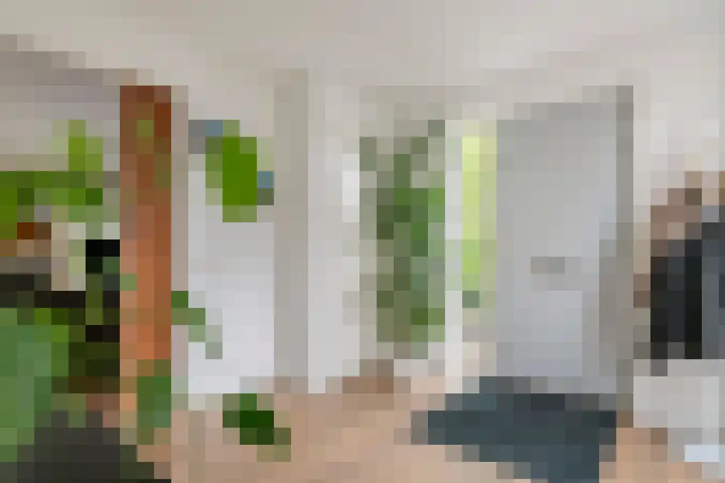 Gelderse Singel 52 Lienden thumbnail 29