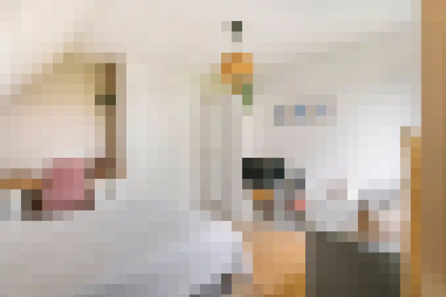 Gelderse Singel 52 Lienden thumbnail 32