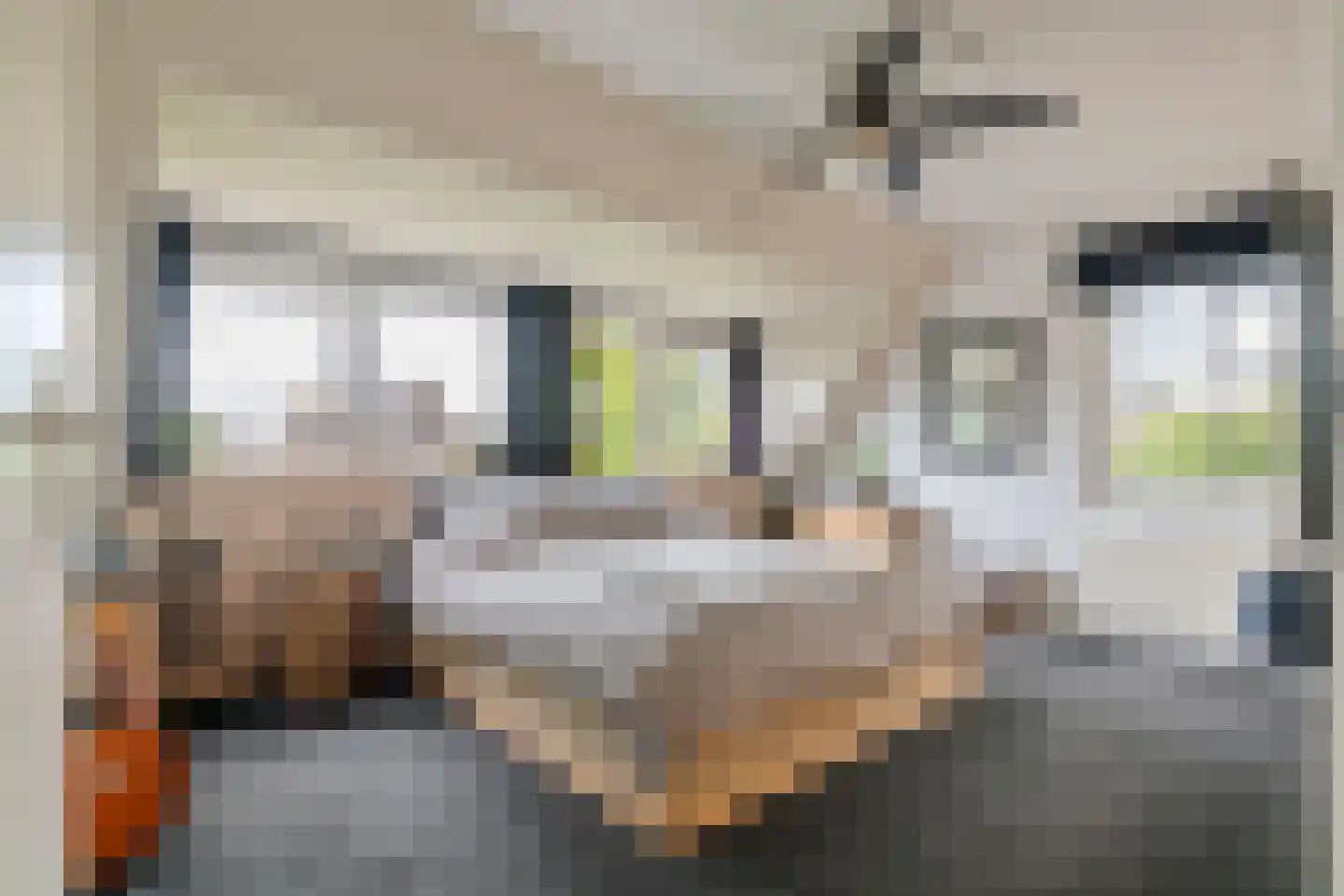 Gelderse Singel 52 Lienden thumbnail 34