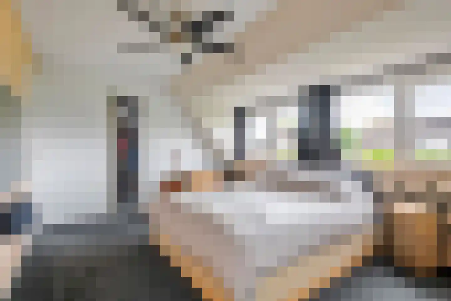 Gelderse Singel 52 Lienden thumbnail 35