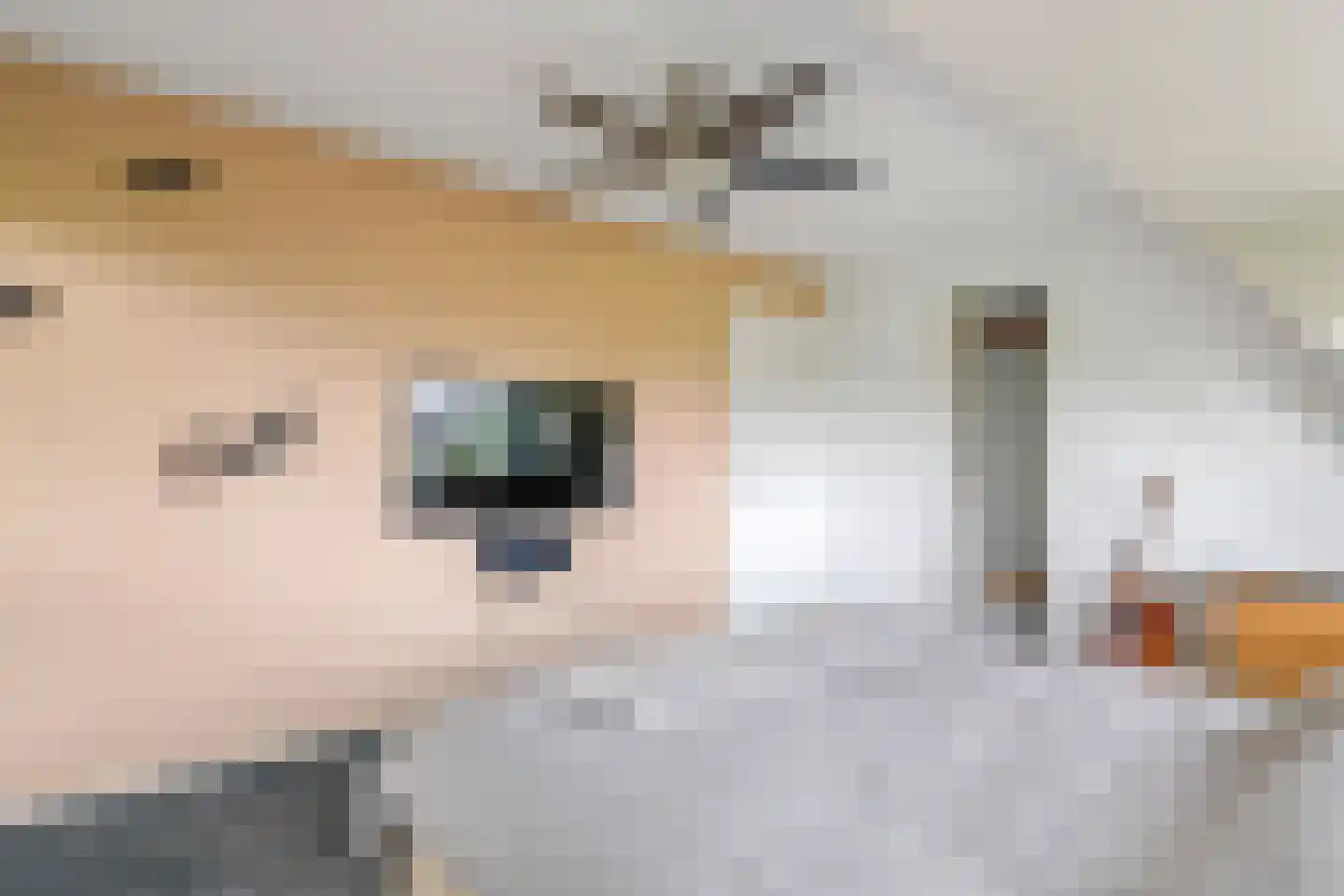 Gelderse Singel 52 Lienden thumbnail 36