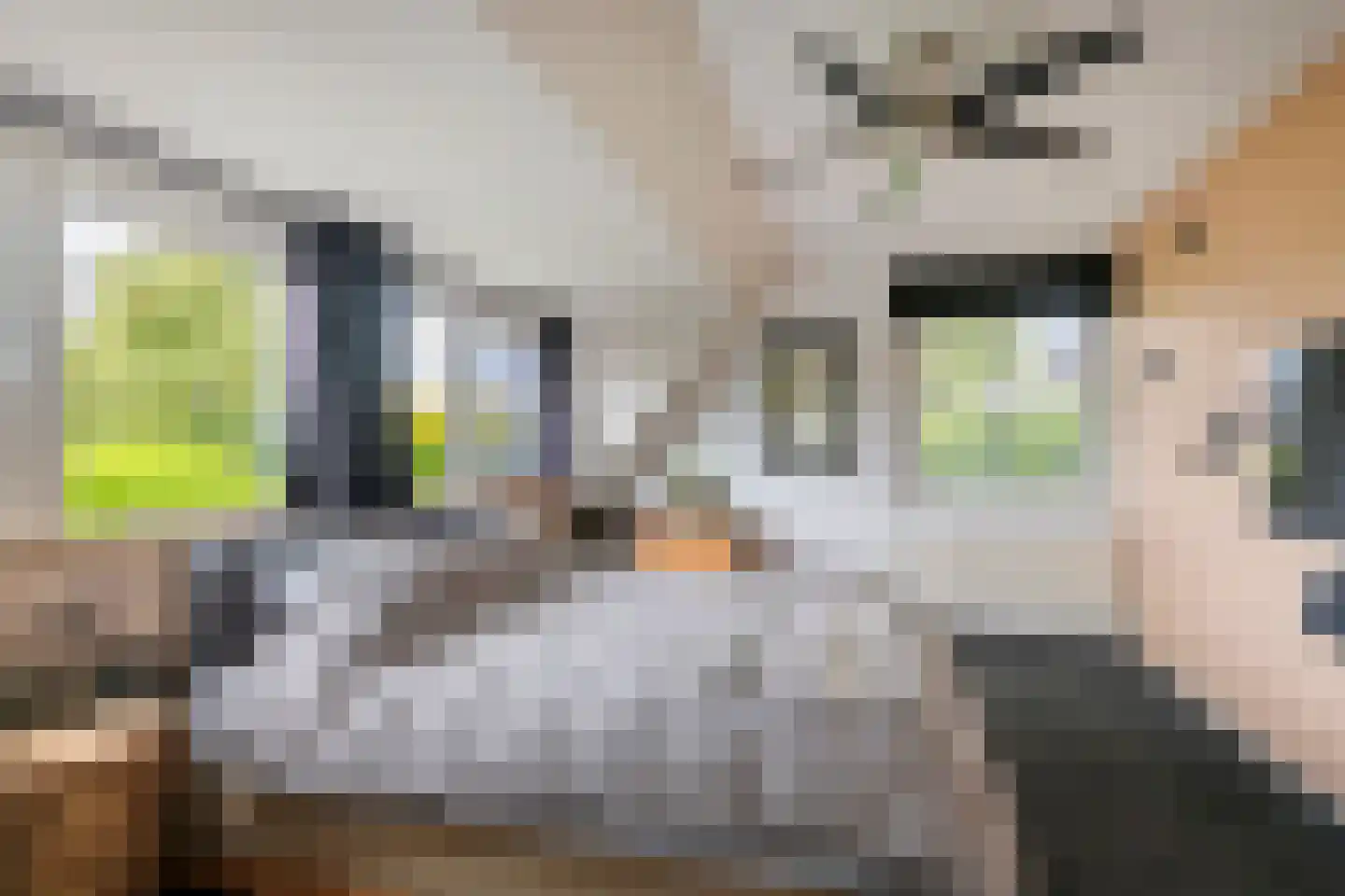 Gelderse Singel 52 Lienden thumbnail 38