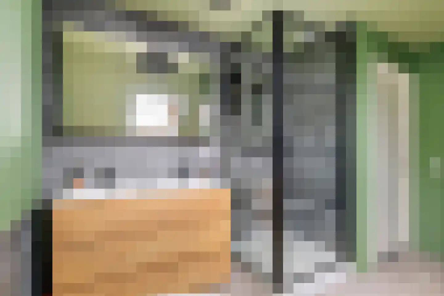 Gelderse Singel 52 Lienden thumbnail 39