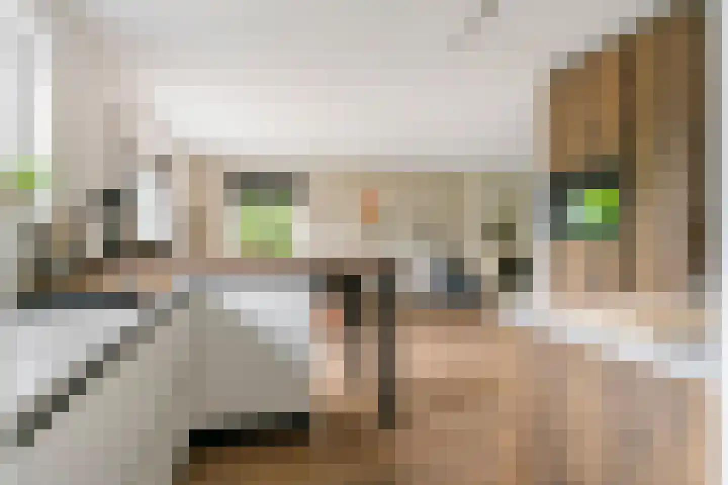 Gelderse Singel 52 Lienden thumbnail 4