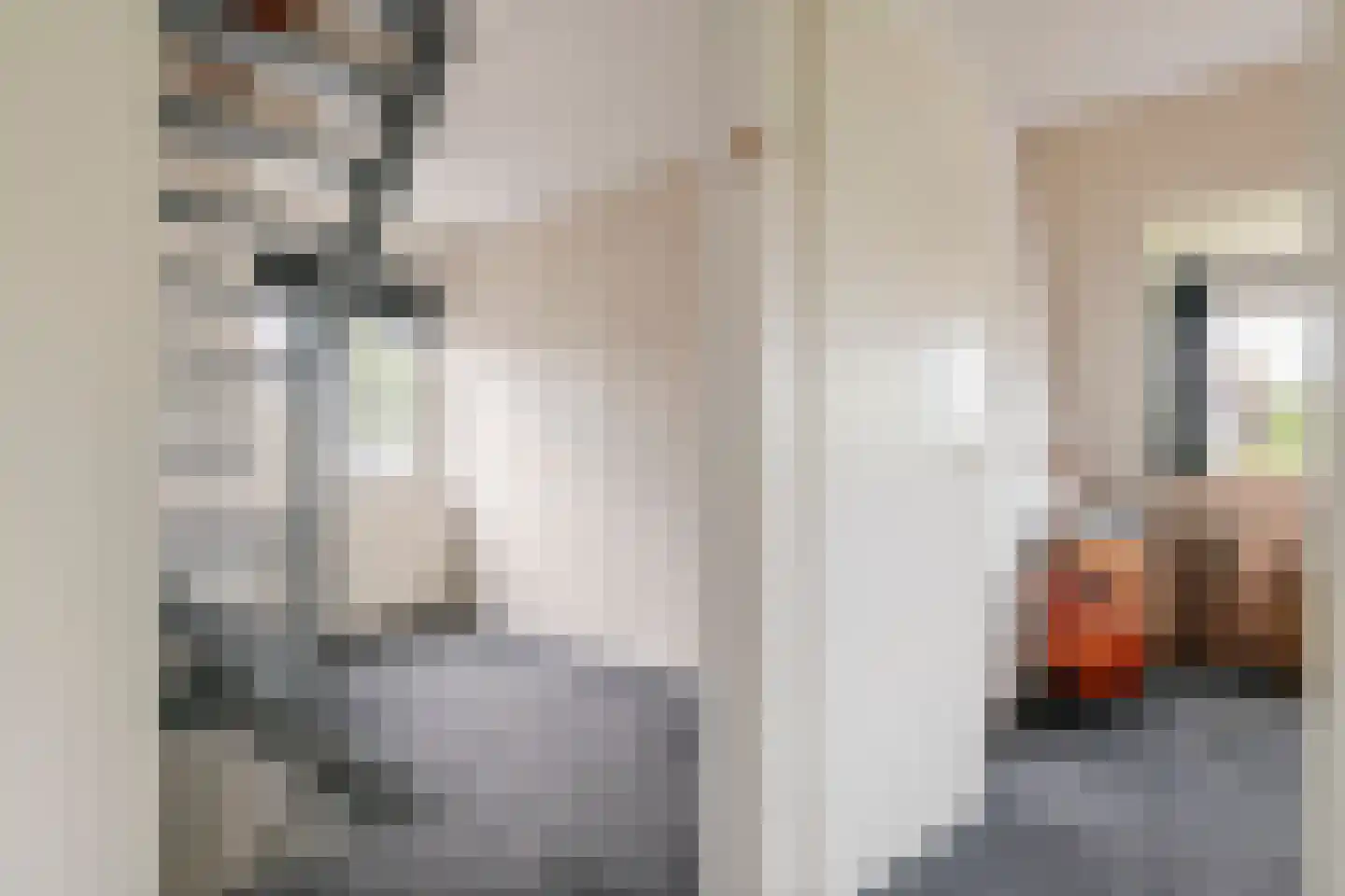 Gelderse Singel 52 Lienden thumbnail 41