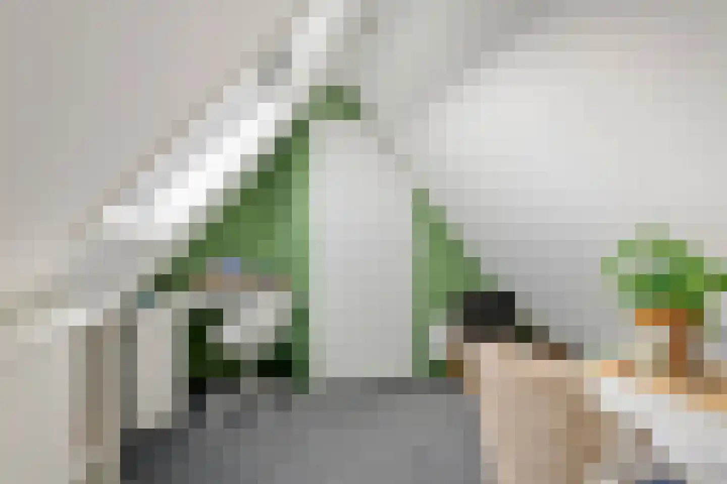 Gelderse Singel 52 Lienden thumbnail 44