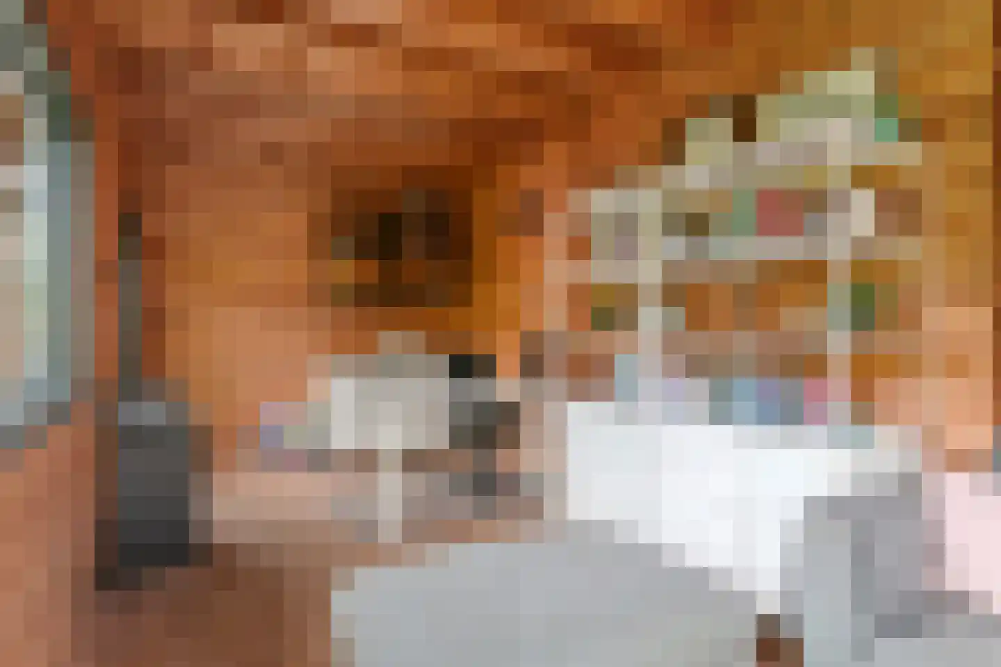 Gelderse Singel 52 Lienden thumbnail 47