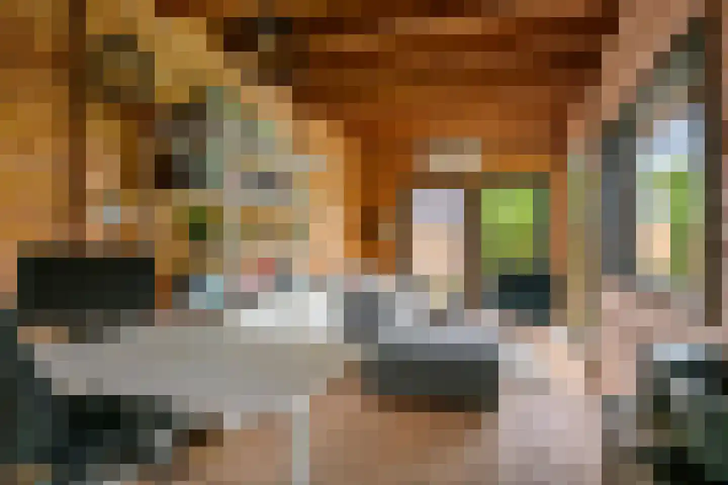 Gelderse Singel 52 Lienden thumbnail 48