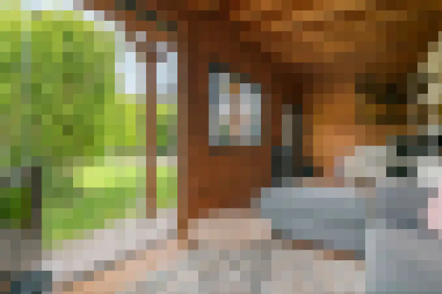 Gelderse Singel 52 Lienden thumbnail 49