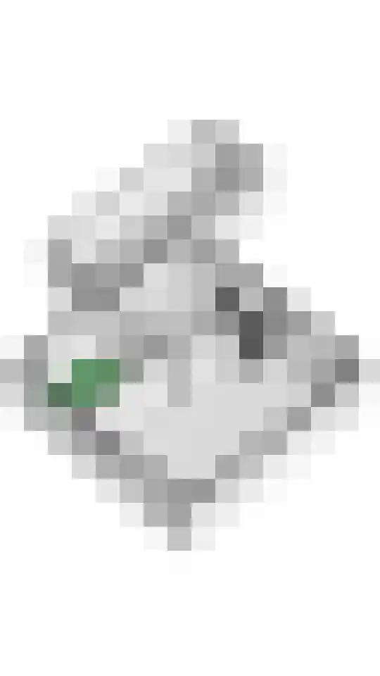 Gelderse Singel 52 Lienden thumbnail 60