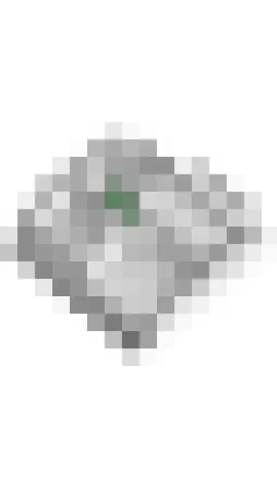 Gelderse Singel 52 Lienden thumbnail 62