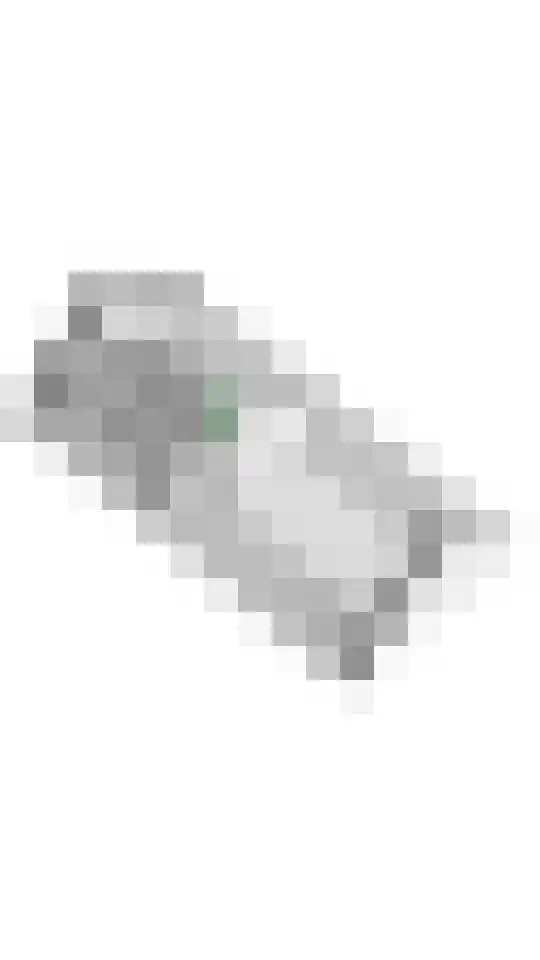 Gelderse Singel 52 Lienden thumbnail 64