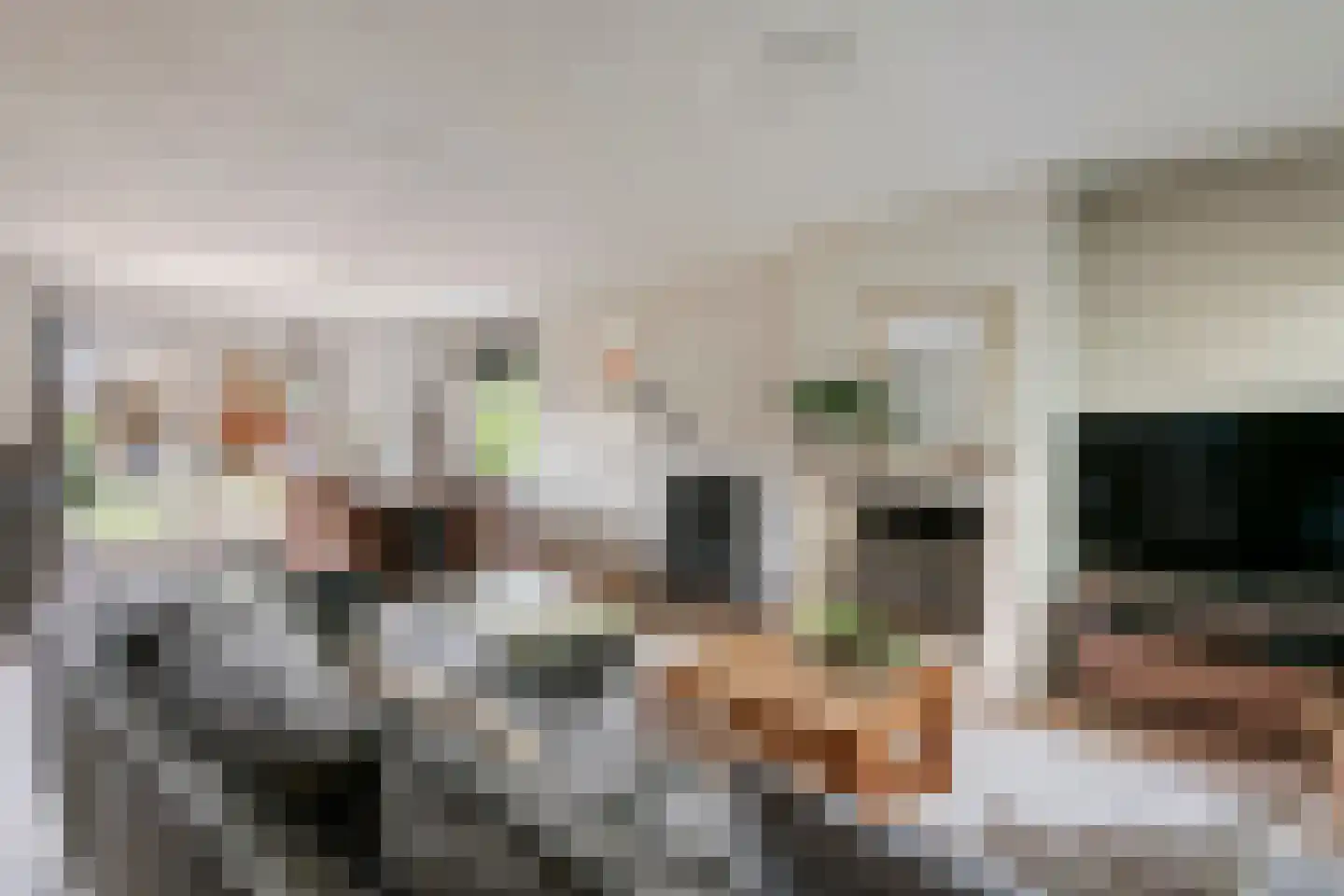 Gelderse Singel 52 Lienden thumbnail 9