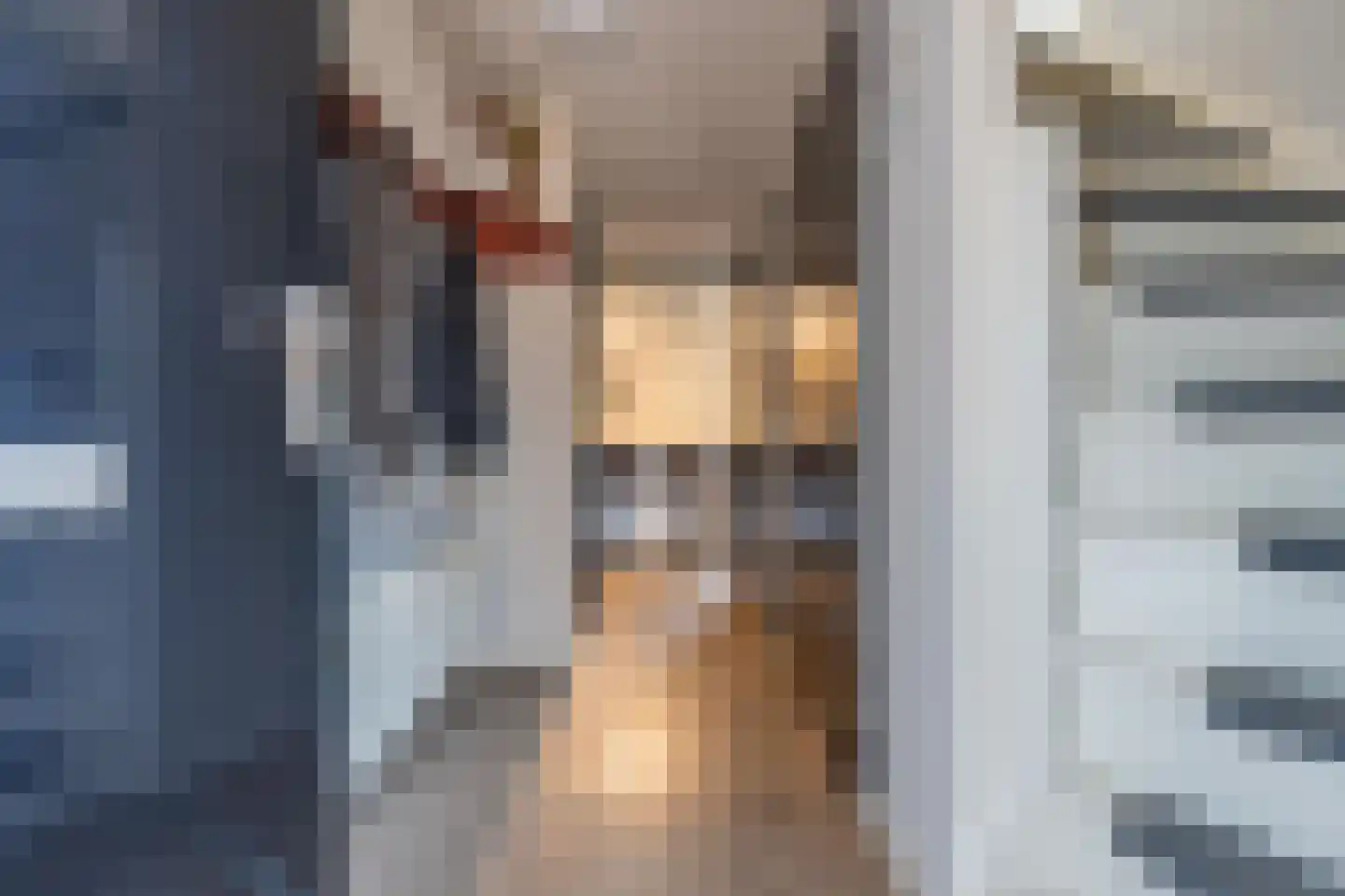 Gelderse Singel 72 Lienden thumbnail 15
