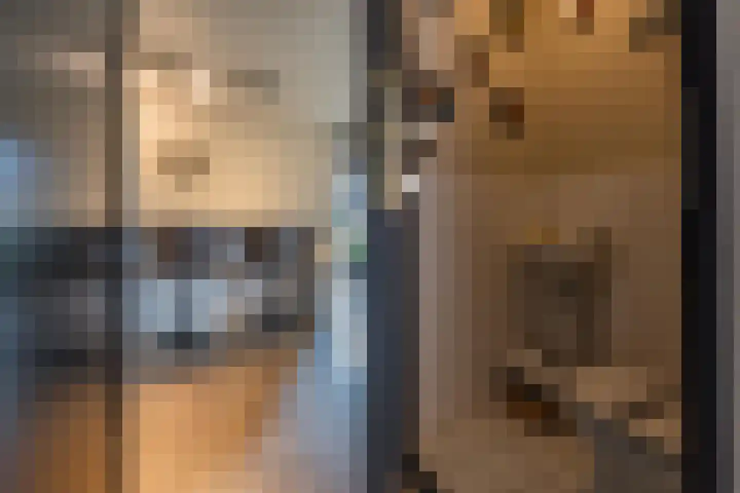 Gelderse Singel 72 Lienden thumbnail 16
