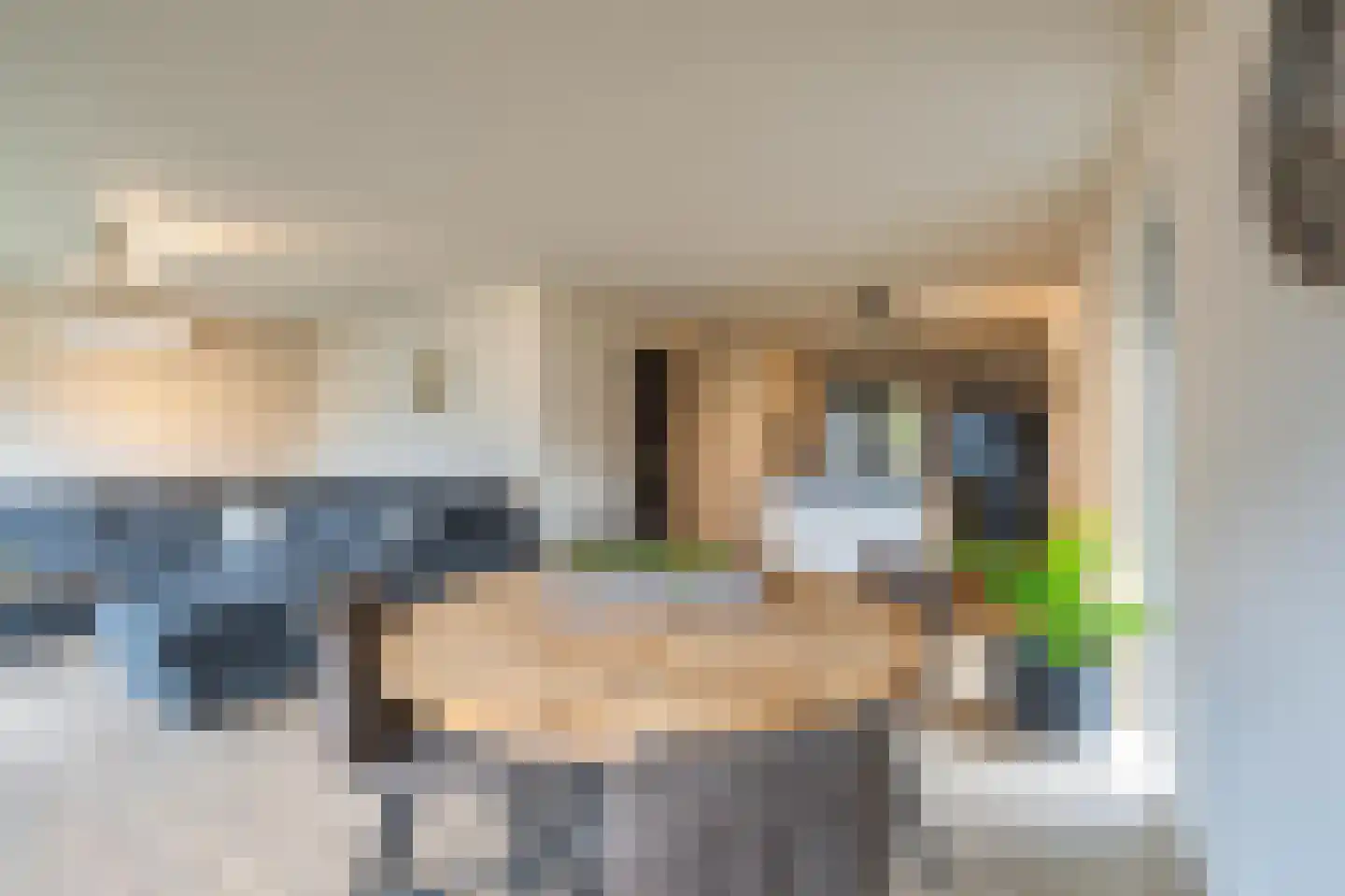 Gelderse Singel 72 Lienden thumbnail 18