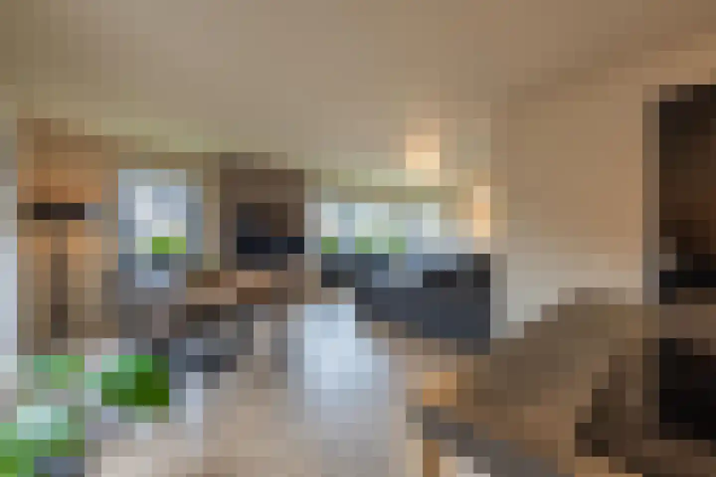 Gelderse Singel 72 Lienden thumbnail 19